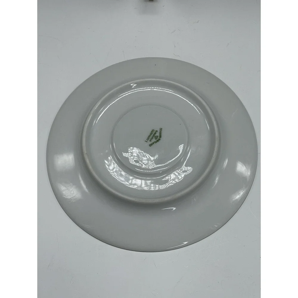 Johann Haviland FOREVER SPRING Tea Cup Saucer Only Bavaria Germany‎ Vintage